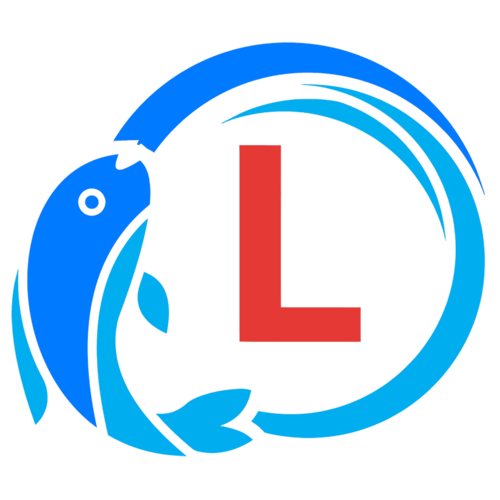 Betta Fighter, Betta Fighting, Molly Fish
Shipping: Vietnam & United States & Worldwide