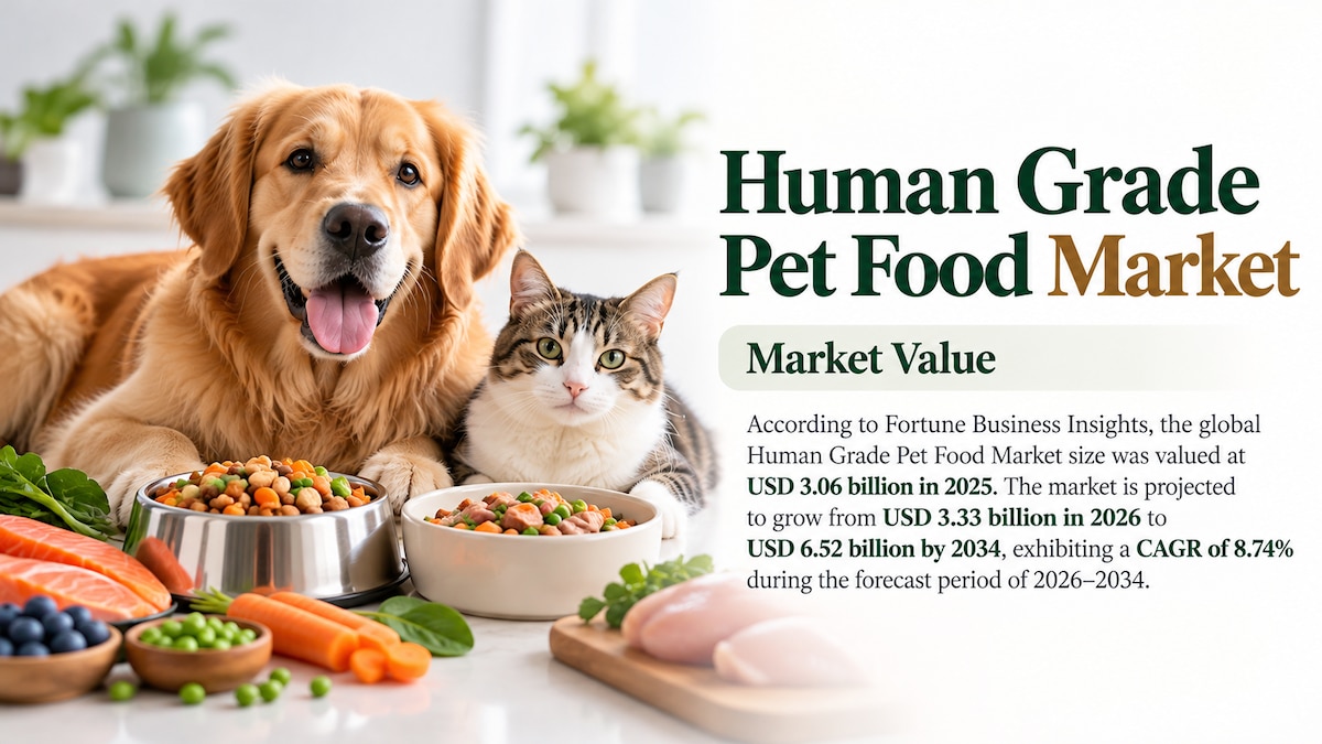 Human Grade Pet Food Market Size, Share, Growth Trends, and Industry Forecast, 2026–2034

According ...