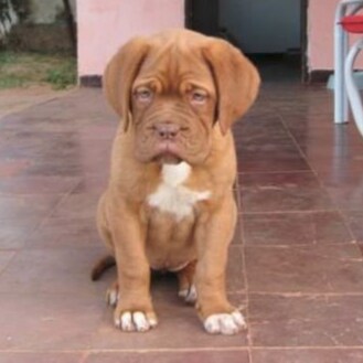 deutsch - https://t.me/auswandern_nach_Paraguay