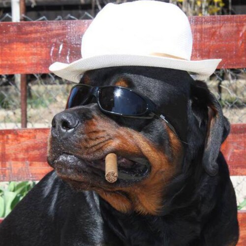 Visit jimbruer's profile on GETTR. View their posts, photos, videos, and connect with them on the social platform.