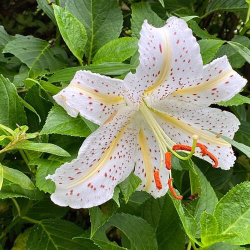 Visit osachi's profile on GETTR. View their posts, photos, videos, and connect with them on the social platform.