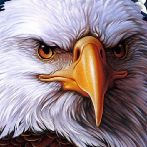 Christian Podcaster and truth teller