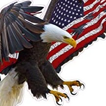 Free thinking patriot