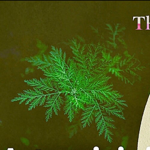 Everything is just beginning