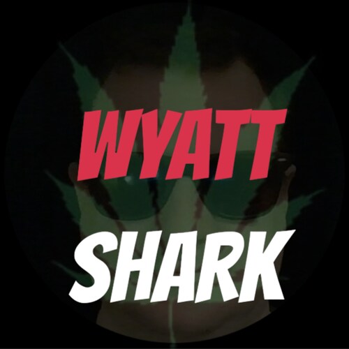 Normal, easygoing, free-thinker making comedy content & host of 'After Dark with Wyatt Shark' podcast.
Email questions/...