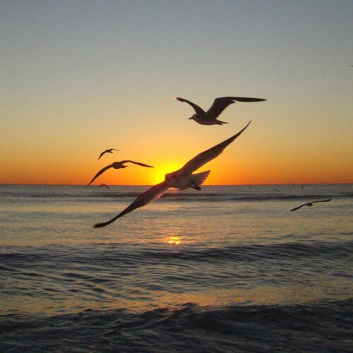 I’m a Midwest boy, jus tryin to make it