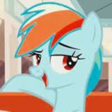 just a little gay horse looking for love <3