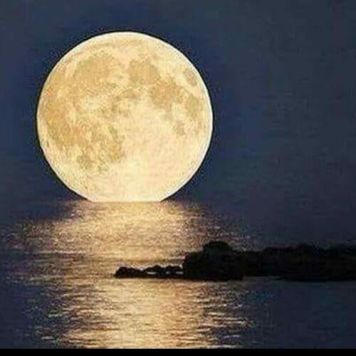 If U can't help others, at least don't harm them. 🙏💞