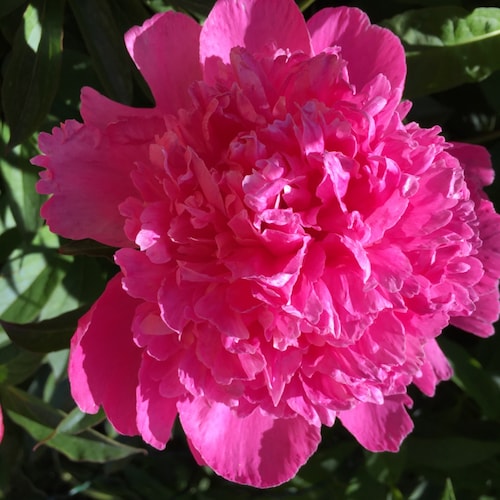 Visit ThomasKliche's profile on GETTR. View their posts, photos, videos, and connect with them on the social platform.