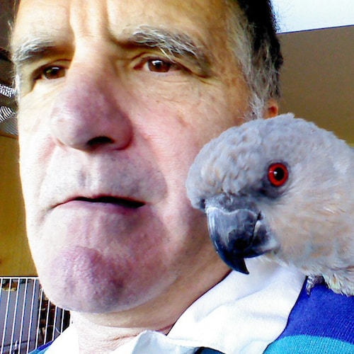 Retired Common Sense Dentist, Studied Molecular Bio, Computers, Disc Golf, Tennis, Backpacking, and more...