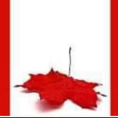 🚚🚛🚚🚛🚚🚛BC born, Albertan by choice! Fight back against tyranny!🍊#HOG
