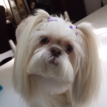 Made in America by Americans~ Christian, MAGA, ProLife, Military, 2A, BlueLivesMatter, Constitution, DrainTheSwamp