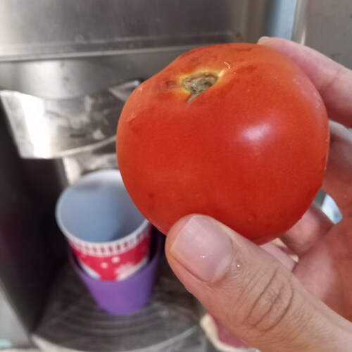 Abogado, Filósofo, Magíster.