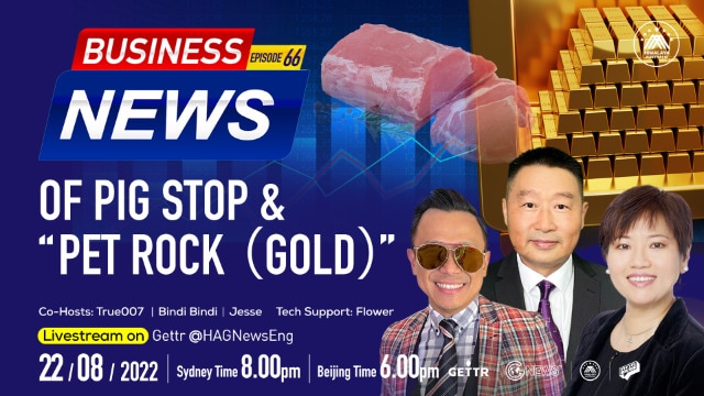 08.22.2022. BUSINESS NEWS-Of Pig Stop & ”Pet Rock（Gold)”  Co-Hosts:True007  Jesse  BindiBindi