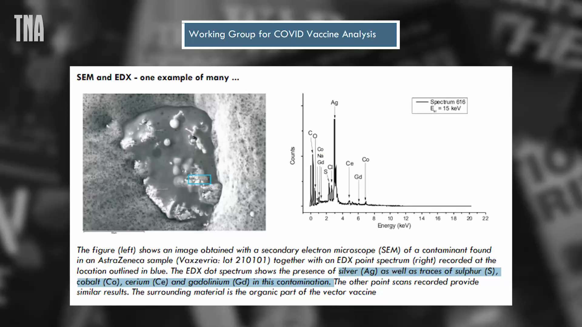 Extensive Lab Analysis Finds Numerous Undeclared Substances in Covid-19 Vaccines That Don't Belong in Human Bodies

Dr. Mark Trozzi: "None of these ingredients were declared by the manufacturers—they're not even listed on the ingredients list. There's no molecules listed on the ingredients that should have these atoms, and they're present in amounts which are far too high to simply be contamination."

Watch the full video:
➨ https://rumble.com/v1p5rli-lab-analysis-finds-numerous-undeclared-substances-in-c19-vaccines-that-dont.html