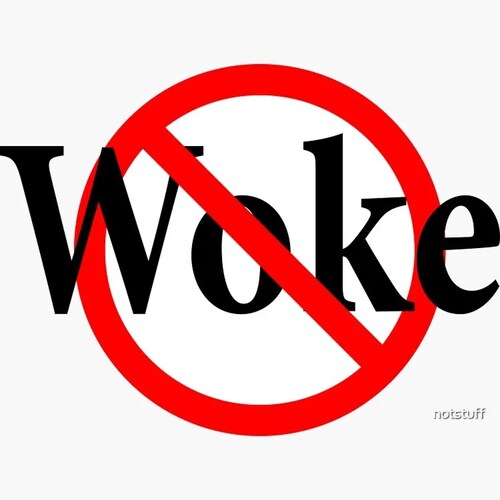 Christian anticommunist pro-MAGA pro-Israel English as a Second Language teacher