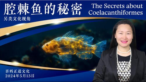 2024年5月13日：另类文化视角-腔棘鱼的秘密 The Secrets about Coelacanthiformes #喜妈客厅 #喜妈正道文化