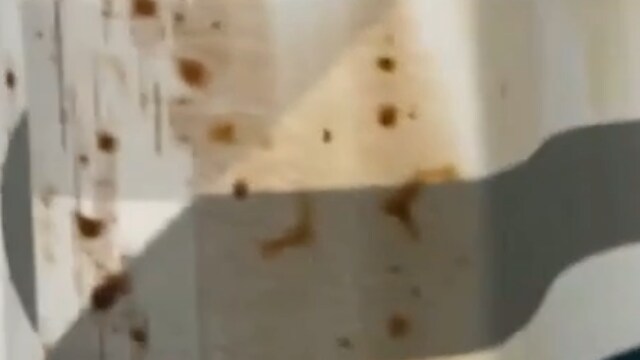 Red Mold @ Motel 6 “Lambeau Field” (Actually Ramada Way off i41 Airport Dr)America’s Man’s Man