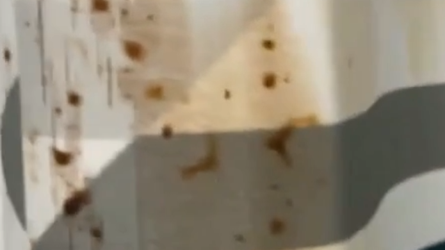 Red Mold @ Motel 6 “Lambeau Field” (Actually Ramada Way off i41 Airport Dr)America’s Man’s Man