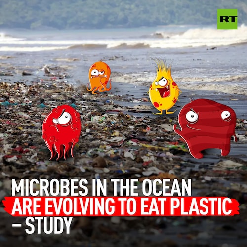 RT @RT_com: A ground-breaking study of over 200 million genes from DNA samples found in the environment has found that over 30,000 enzymes have evolved to eat plastic  