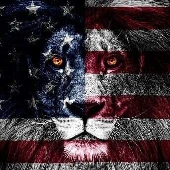 🇺🇸 Military Family 🇺🇸
💙 LEOs 🚔  
🇺🇸 USA 🇺🇸                          🐾🐴✈️ Texas!
Stardust Radio 🎙