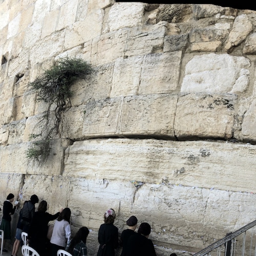 God Bless America, The People’s President Donald J. Trump & We The American Patriots! #TRUMPWON!