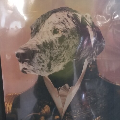 Husband, Father, Patriot.                                       Here for Trump and Maga