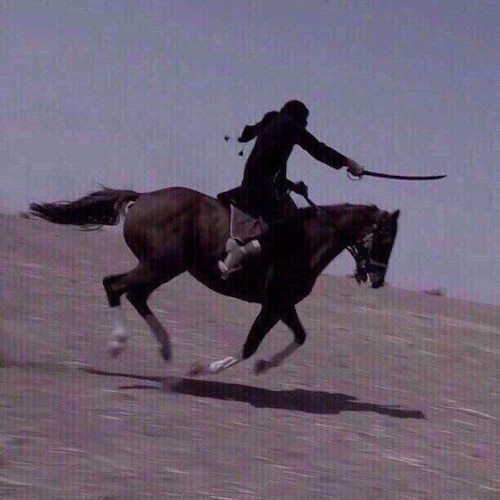 17 y.o islamic fundamentalist 🏴