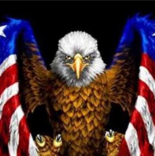 Constitutional Conservative Second Amendment defender