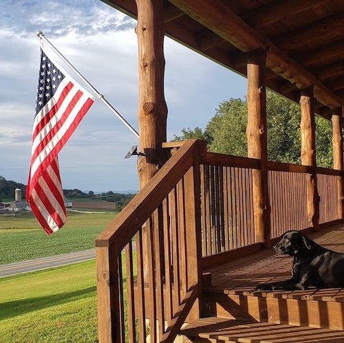 Conservative American