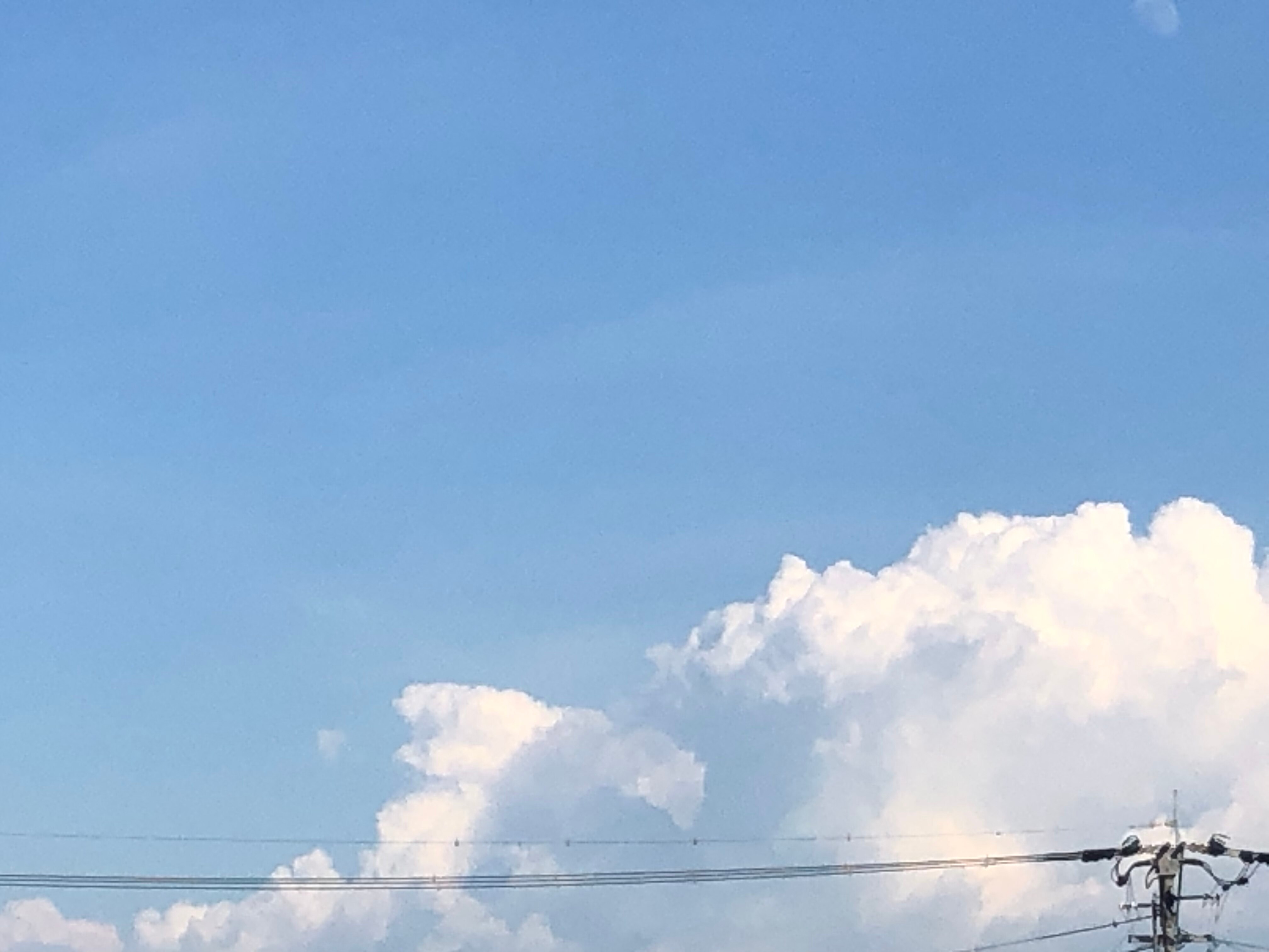 これぞ、日本の夏。