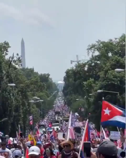 WATCH: Video shows massive number of protesters marching towards White House to protest and to deman...