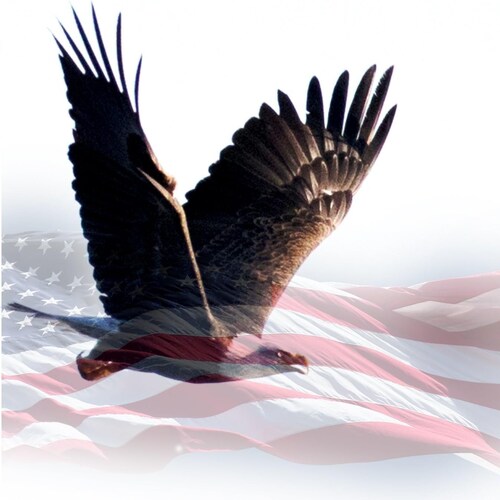 President Trump - best POTUS in my lifetime- PROMISES MADE / PROMISES KEPT🇺🇸❤️🇺🇸❤️