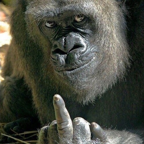Officially banned from Twitter.