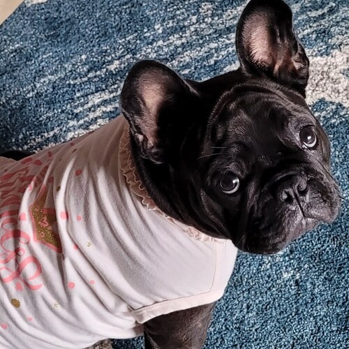 #GodsGirl #GODISREAL 🙏💯❤#savethechildren 🌿💨❤Love & Family God & Country👊 🇺🇸#FA&FO