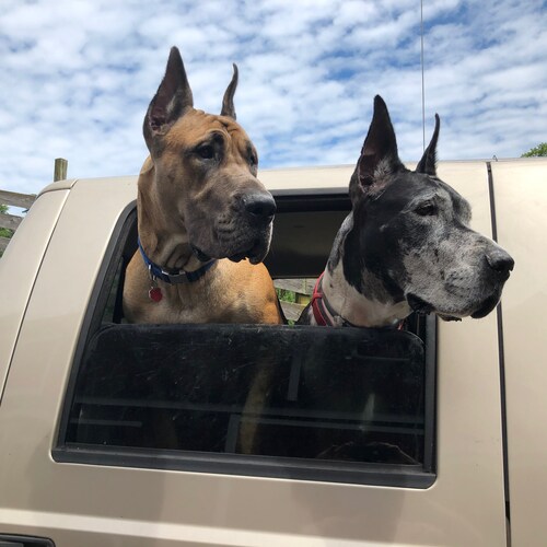 @RealPNavarro 
I’m expecting you to be on warroom tomorrow!
I just bought your book!
Take care! Paul...