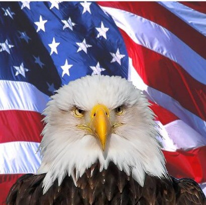 Living in the Free State of Florida. Trump 2024!