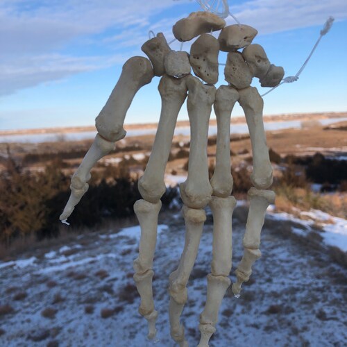 Retired BC Radiation Oncologist, PhD Anatomy, BA Microbiology, KU RCJH, Army Veteran, Eagle Scout, Patriot, Dad