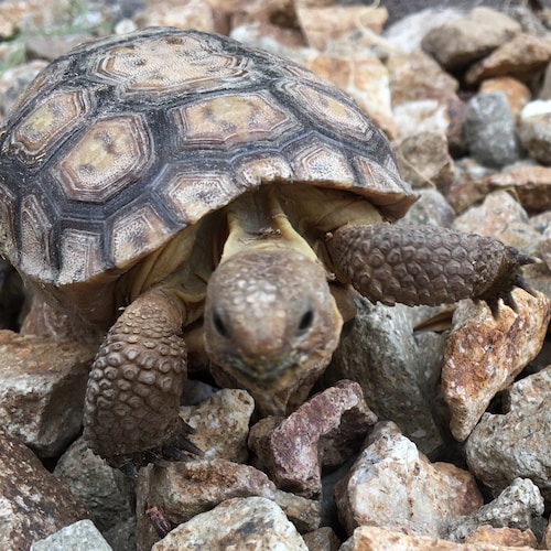 There are now millions of people who don’t know what a woman is.  

