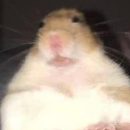 Open to sound evidence supporting god claims.