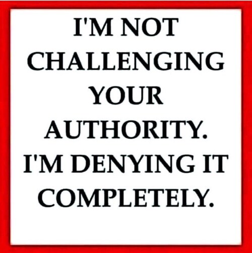 Imperfect Christian, Father of 4, Chef,staunch Constitutionalist