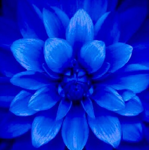 warrior. I see it all.