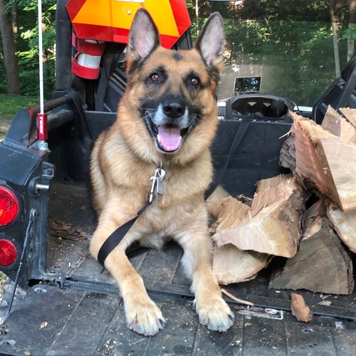 Here to protect my interest