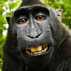 MonkeyMan