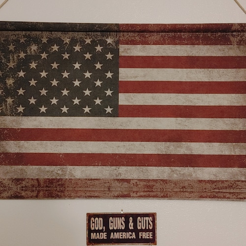 Patriot, veteran,voter and free thinker