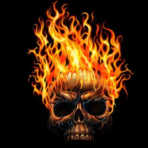 Faith, Family, and Freedom. Strong Conservative & Nationalist. Trump won. NRA. Metal 🤘
Creepy Biden is an illegal & ill...