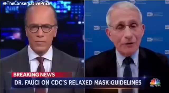 Reminder how it all started! This little piece of shit 👇👇👇⚰👈