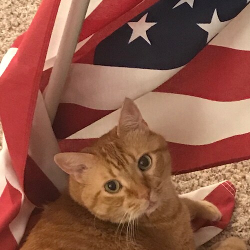 Texan Born
Texas Values
God, Home, Country