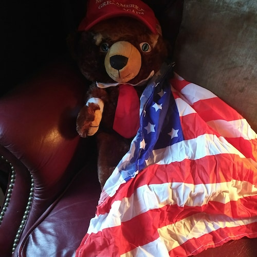 Rebel with a Cause!
Chief Consultant to Gettr team MAGA LIONS FOR TRUMP -- Let's Roar!