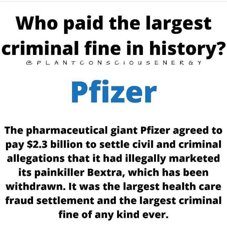 View MAUREEN's post on GETTR. Join the discussion, share your thoughts, and connect with the community.